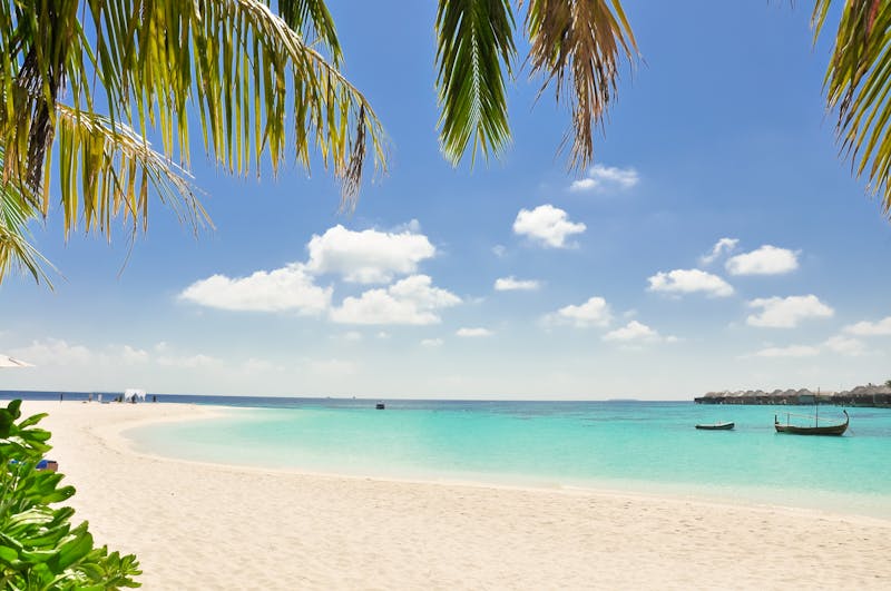 Isla Colon